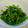 うさぴょんレシピ's cooksnap of when they made 菜の花の辛子和え.