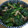 ほりみどり's cooksnap of when they made ほうれん草としめじのお浸し【母の味】.