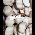 MIYAKO0616's cooksnap of when they made 簡単サクサククッキー.