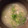eryoasu's cooksnap of when they made 絶対おいしいしじみ汁　写真追加.