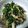 KAKO_KAKO's cooksnap of when they made きのことホウレン草の胡麻ポン和え♪.