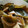 ちはるあきうめち's cooksnap of when they made 生めかぶとたけのこの煮物★.