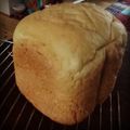 ちゃまおてんぐ's cooksnap of when they made サクサク☆コーンミールパン.