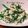 おったんねこちゃんの's cooksnap of when they made 菜の花の白和え♪.