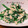 おったんねこちゃんの's cooksnap of when they made 菜の花の白和え♪.