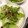 kinako10's cooksnap of when they made 余った梅ジャコで簡単☆和サラダ.