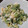 pisko's cooksnap of when they made 菜の花のおかかマヨタマ和え.