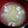 わんこたんわんたん's cooksnap of when they made 鶏皮とねぎのスープ.
