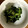 猫間ネキ's cooksnap of when they made 簡単★洗い物少！菜の花のからし和え.