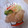 ＨＯ☆ＭＩ's cooksnap of when they made 簡単！豚の生姜焼き♡.