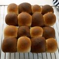okimai's cooksnap of when they made もちふわ～♪簡単ミルク＆ココアちぎりパン.