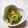 ﾁｲﾁｬﾝﾏﾏ's cooksnap of when they made 簡単！倹約！芽かぶの茎の白だし.
