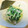 ゆうと＆りえ's cooksnap of when they made 白だしのみ！水菜とえのきの煮びたし.