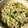 ☆やなすえ☆'s cooksnap of when they made キャベツとひき肉の卵とじ.