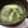 kinako10's cooksnap of when they made 旬を食べよう！生めかぶのお味噌汁☆.