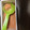キャネ♪'s cooksnap of when they made 捨てないで！えびの殻で簡単ふりかけ✿.