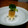 チョコっと's cooksnap of when they made かわいい森の切り株ちくわ♪.