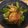 yunatan1211's cooksnap of when they made レンチン1分！おくらおかか♪.