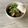 さくらん餅's cooksnap of when they made 市販のウナギのタレでチャーシュー丼.