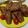 クックE662AA☆'s cooksnap of when they made ピーマンの肉詰め☆照り焼き味.