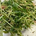 にいさんママ's cooksnap of when they made シャキ！ぷちっ！豆苗とツナの胡麻サラダ.
