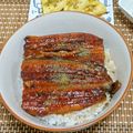 朔耶's cooksnap of when they made 手作り鰻のタレ(簡単).