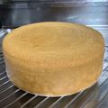 りりこ☆彡's cooksnap of when they made ◆しっとり・ふわふわ＊ミルクスポンジ◆.