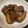 和田伸一's cooksnap of when they made 愛知のジビエ　イノシシの角煮.