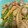 ichgoboru's cooksnap of when they made たけのことねっとり根菜の味しみしみ煮物🤭.