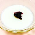 きょうかはんか's cooksnap of when they made 離乳食後期◎簡単ヘルシーおやつ！牛乳寒天.