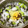 おはなすき's cooksnap of when they made ひじきと枝豆のおじや.
