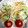 ミックエムスリー's cooksnap of when they made 簡単♪大根とにんじんときゅうりのサラダ.