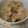 skりんご's cooksnap of when they made 簡単おいしい！なめたけ炊き込みごはん☆.