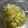まゆっちでーす's cooksnap of when they made やみつき！セロリの浅漬け.