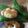 クックLBN3YE☆'s cooksnap of when they made スナップエンドウとエビのオイスター炒め.