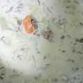 ｽｶｲﾌｨｯｼｭ☆'s cooksnap of when they made 1歳★2歳 完食☆栄養満点シチュー風！.