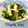 ＨＡＬ．Ｍ's cooksnap of when they made 我が家の味☆小松菜と薄揚げの煮浸し.