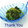 ＨＡＬ．Ｍ's cooksnap of when they made ほうれん草のめんつゆおかか和え.