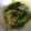 ひ１２'s cooksnap of when they made レタスのウマ～！炒め★.