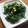 miyuki12's cooksnap of when they made 簡単〓ほうれん草バター炒め.