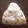 Naaaai's cooksnap of when they made ☆柿の種 梅ひじき おにぎり.