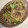 ma7mi0930's cooksnap of when they made 生姜焼きうどん.