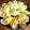 クックC21R2I☆'s cooksnap of when they made 殻つき牡蠣のタルタルソース焼き◆.