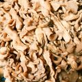 クッキングパパ⭐'s cooksnap of when they made m豚と舞茸の濃厚ニンニク醤油炒め.