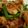 元祖ねこまんま's cooksnap of when they made 鶏肉とにんにくの芽のXO醤炒め.
