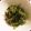 ムサムサ's cooksnap of when they made 豆苗と桜えびのオリーブオイル和え.