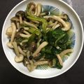 キタマニ's cooksnap of when they made レンチン☆ほうれん草としめじのおひたし.