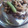 ｧｫｨ's cooksnap of when they made 私の定番！納豆豆腐のわさび風味.