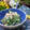 もりあん農園's cooksnap of when they made れんこんと水菜の粒マスタード和え.
