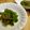 しのばぁたん's cooksnap of when they made ブロッコリーのゴマおかか和え♥簡単☆.
